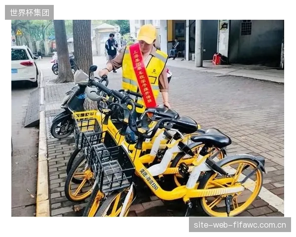 对盈利的急功近利可能重蹈共享单车的覆辙,体育器材的高损耗与维护成本决定了这并非一门“快生意 对盈利的急功近利可能重蹈共享单车的覆辙,体育器材的高损耗与维护成本决定了这并非一门“快生意